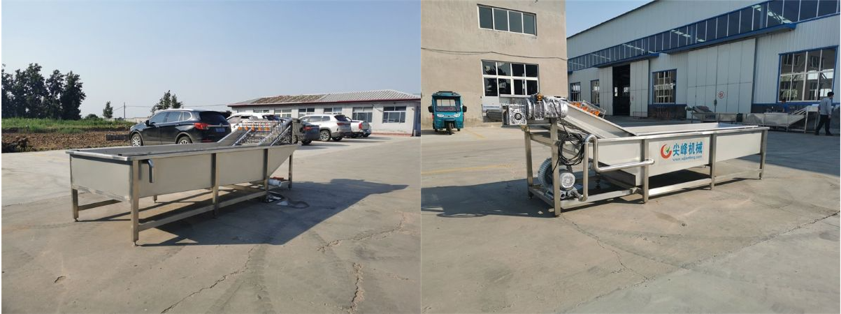 根莖類水浴氣泡清洗機(jī)器設(shè)備